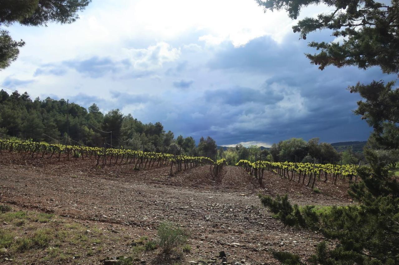 Masia Sagues Poblet Buitenkant foto