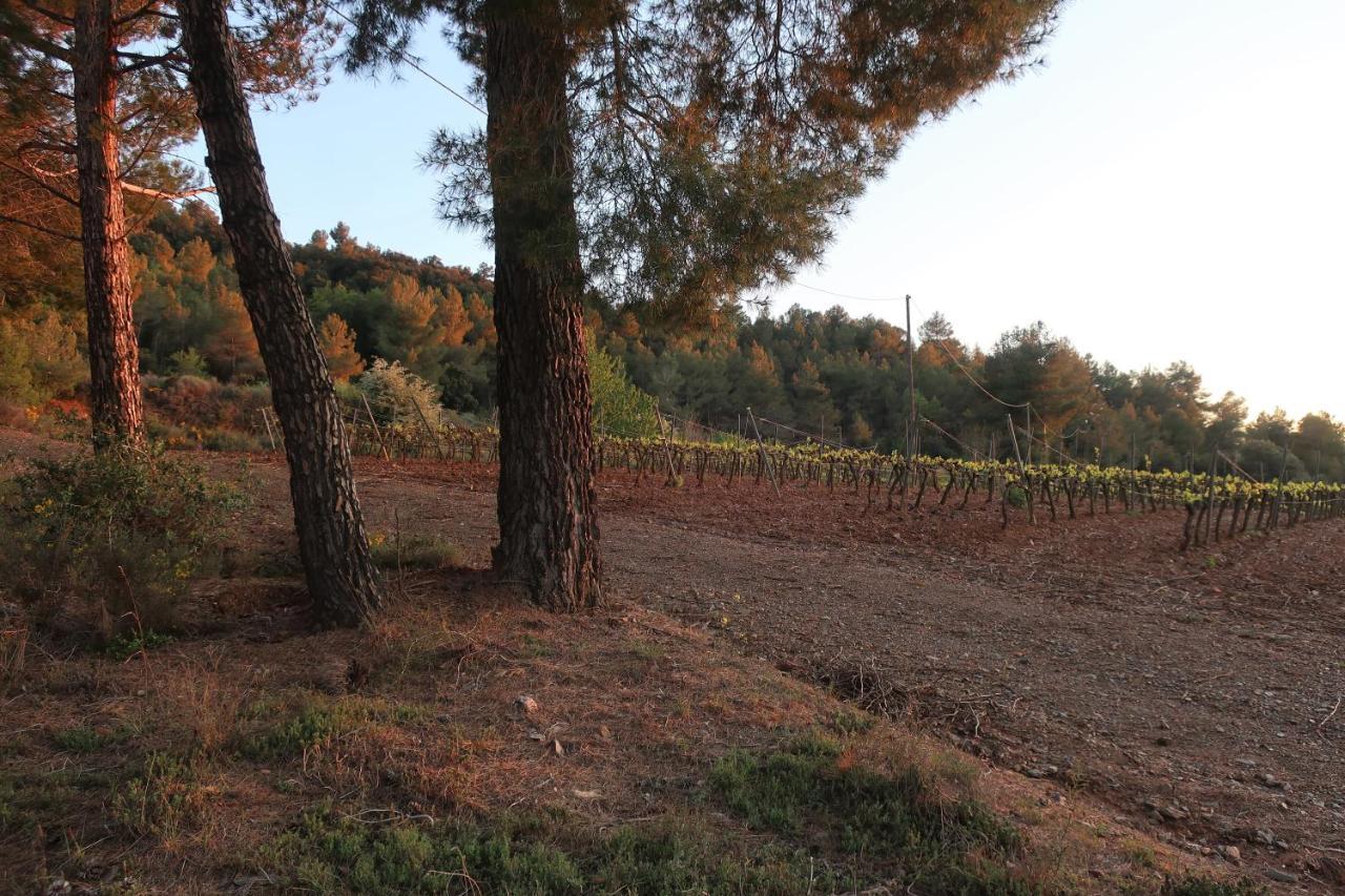 Masia Sagues Poblet Buitenkant foto