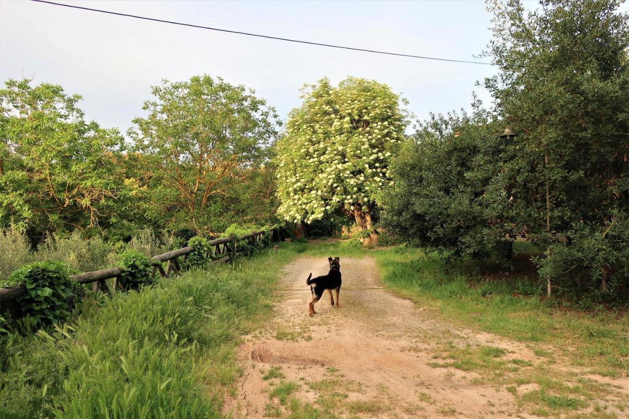 Masia Sagues Poblet Buitenkant foto