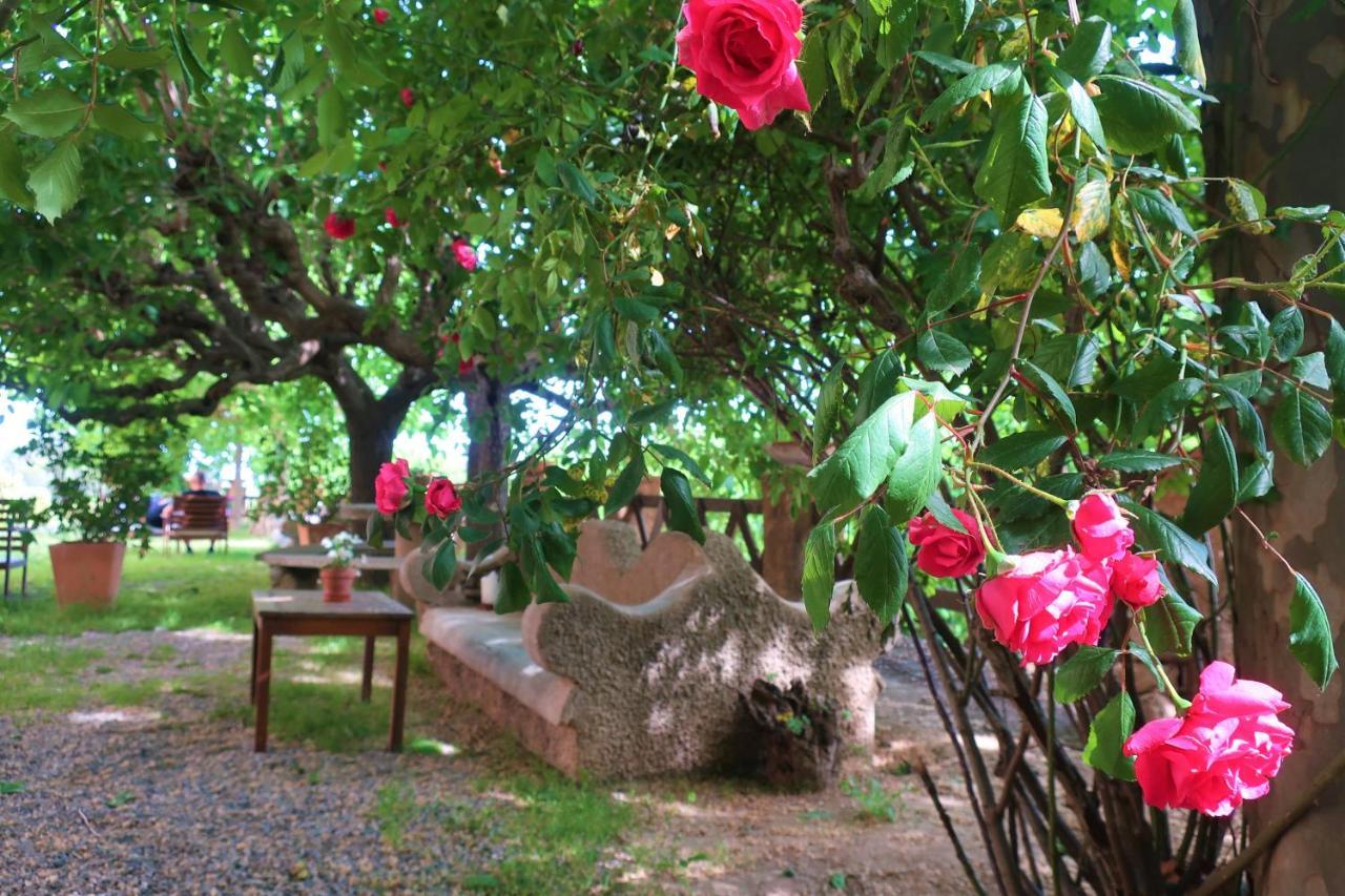 Masia Sagues Poblet Buitenkant foto