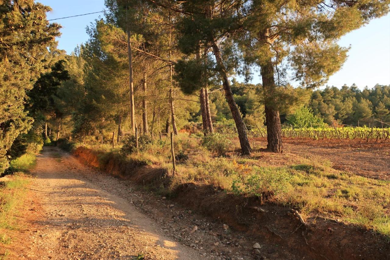 Masia Sagues Poblet Buitenkant foto