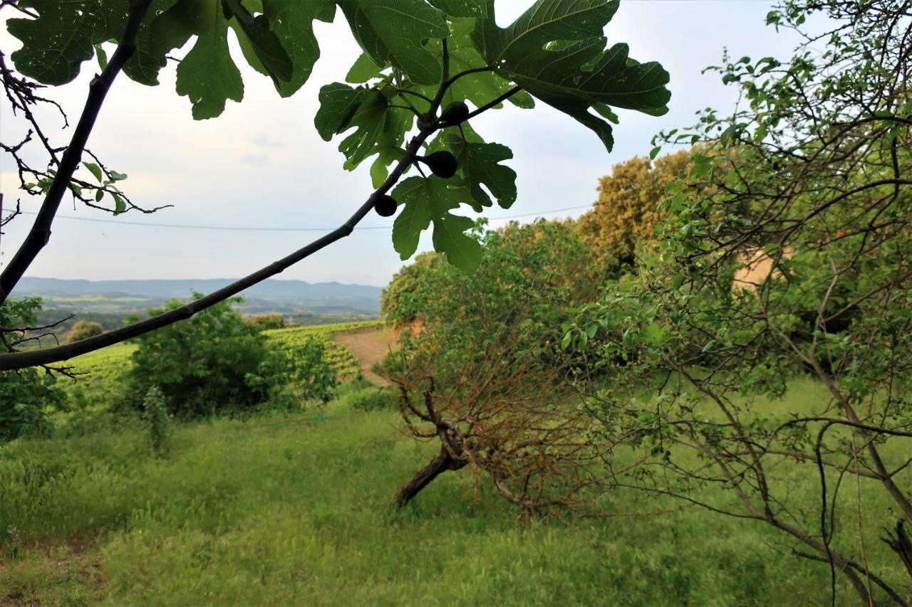Masia Sagues Poblet Buitenkant foto
